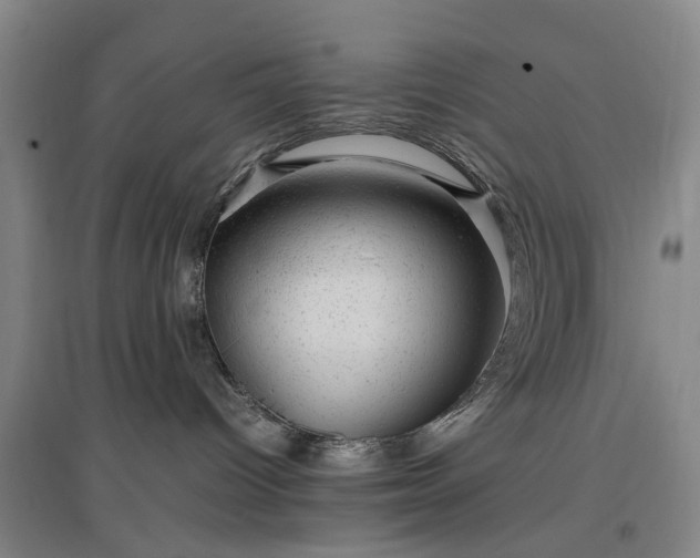 X0000096980096200802151340