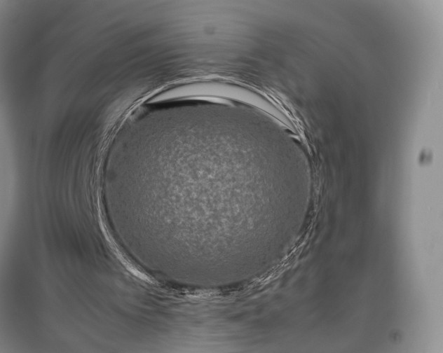 X0000096980097200802151339