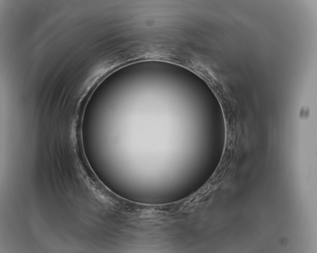 X0000096980098200802151339