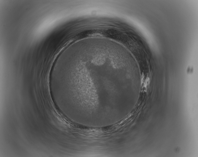 X0000096980099200802151339