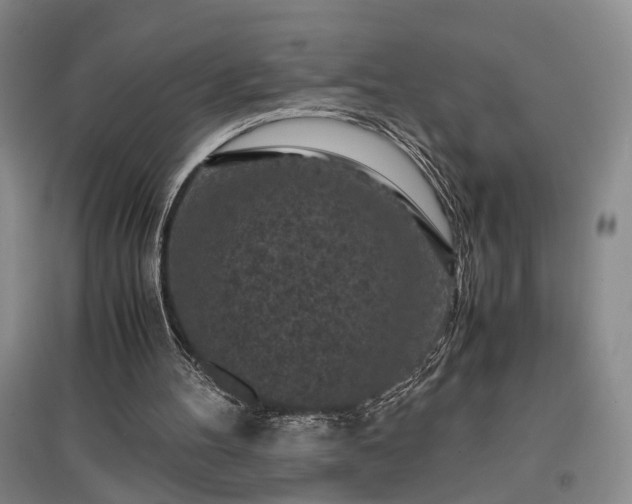 X0000096980100200802151339