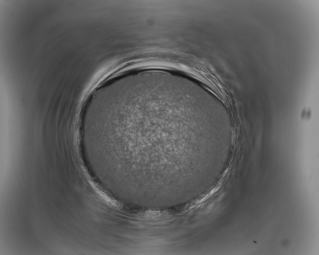 X0000096980101200802151339