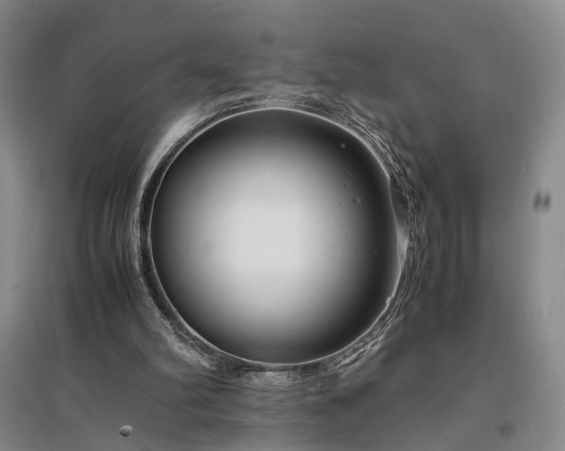 X0000096980102200802151339