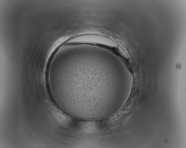 X0000096980104200802151339