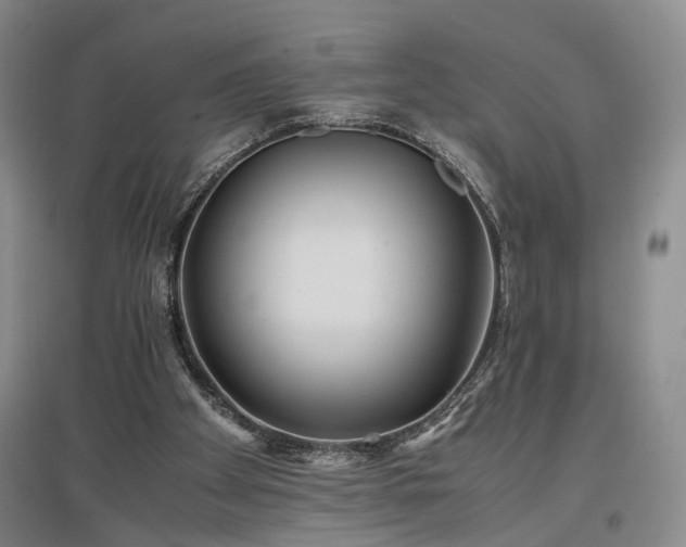 X0000096980105200802151339