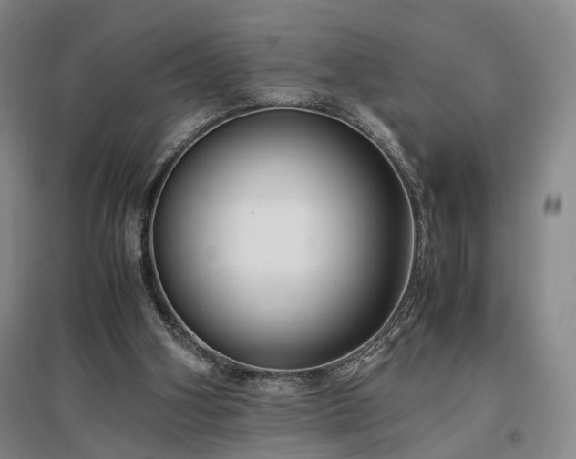 X0000096980106200802151339