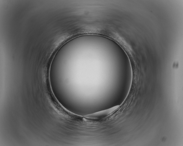 X0000096980107200802151339