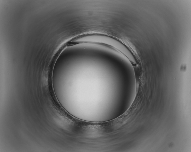 X0000096980108200802151339