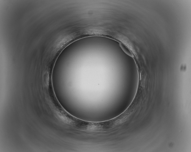 X0000096980109200802151339