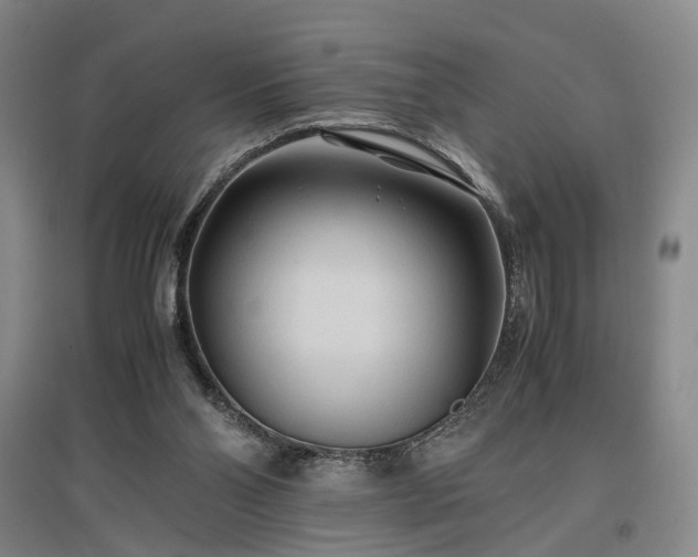 X0000096980110200802151339