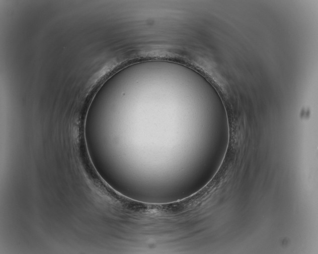 X0000096980111200802151339