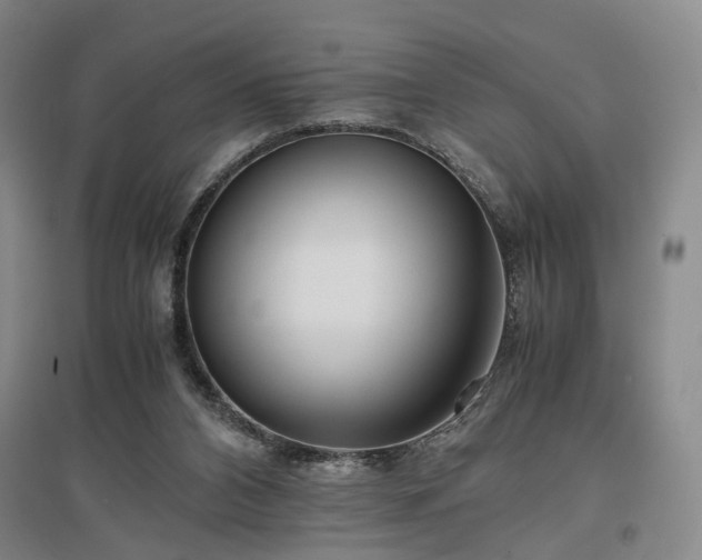 X0000096980112200802151339