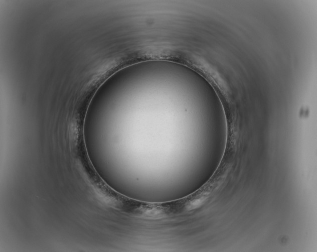 X0000096980113200802151339