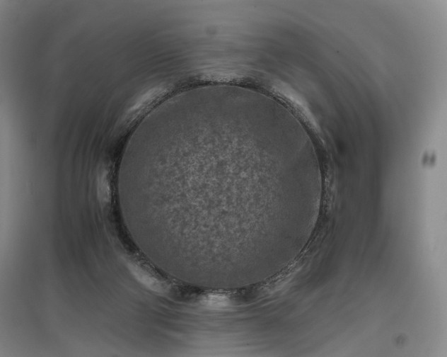 X0000096980114200802151339