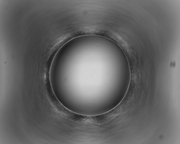 X0000096980115200802151339