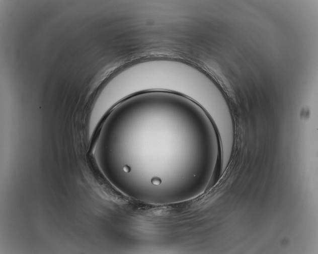 X0000096980116200802151339