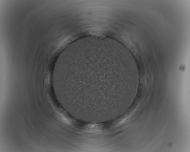 X0000096980117200802151339