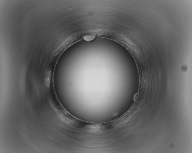 X0000096980118200802151339