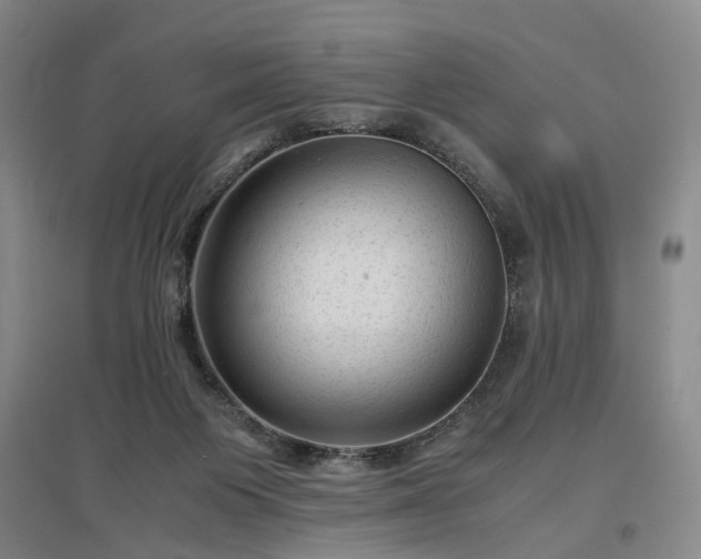 X0000096980119200802151339