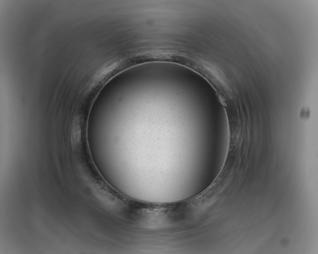 X0000096980120200802151339