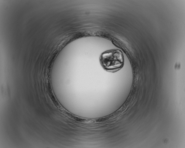 X0000096980121200802151339