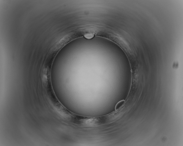 X0000096980122200802151339