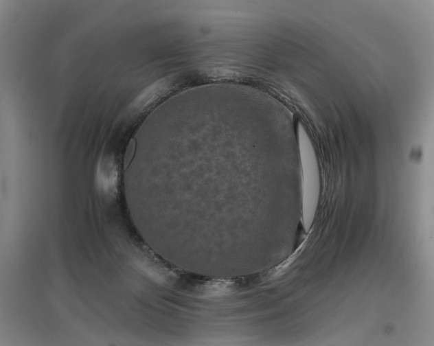 X0000096980124200802151339