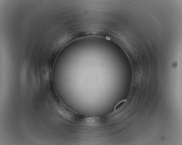 X0000096980126200802151339