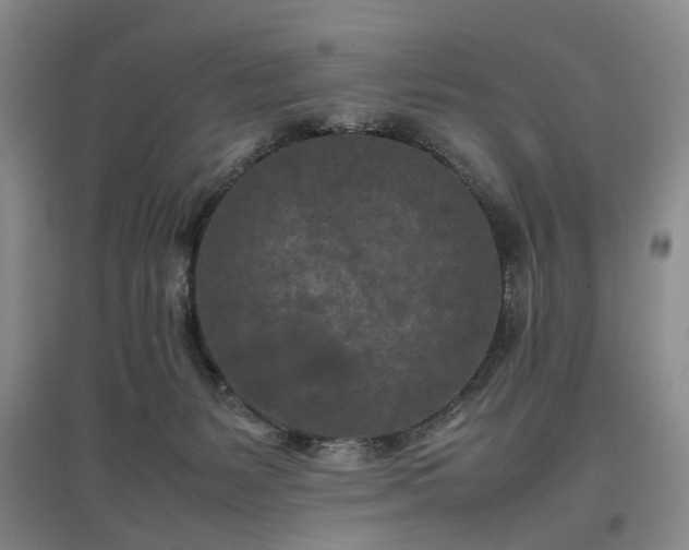 X0000096980127200802151339