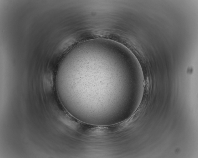 X0000096980128200802151339