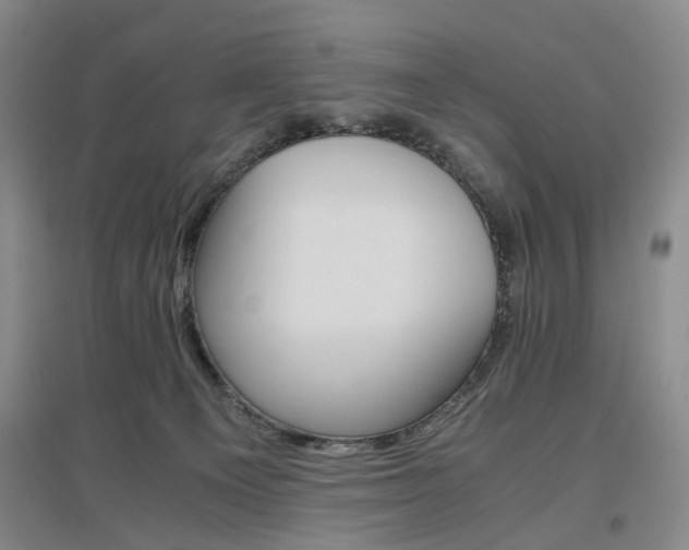 X0000096980129200802151339