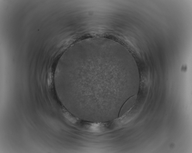 X0000096980130200802151339