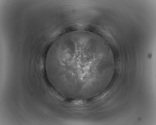 X0000096980131200802151339