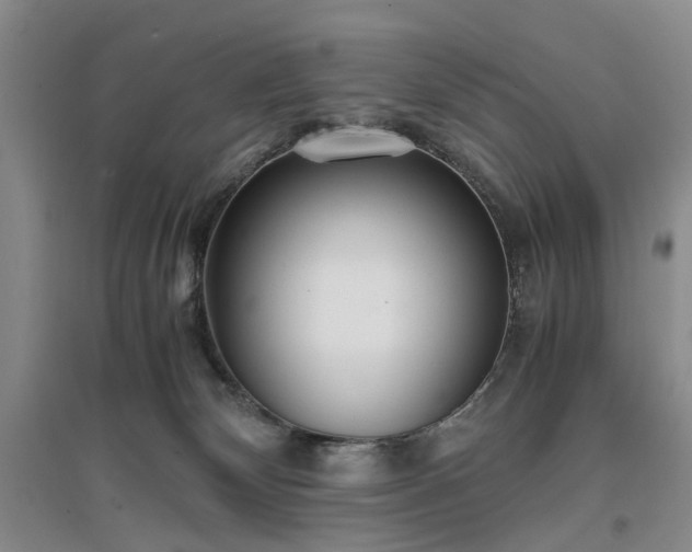 X0000096980132200802151339