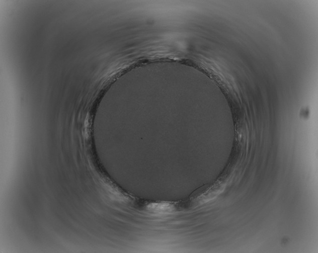 X0000096980133200802151339