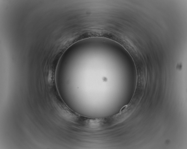 X0000096980134200802151339