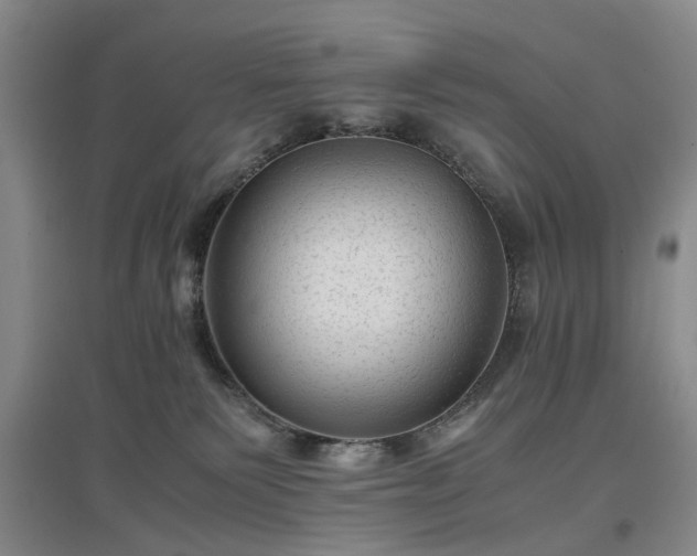 X0000096980135200802151339