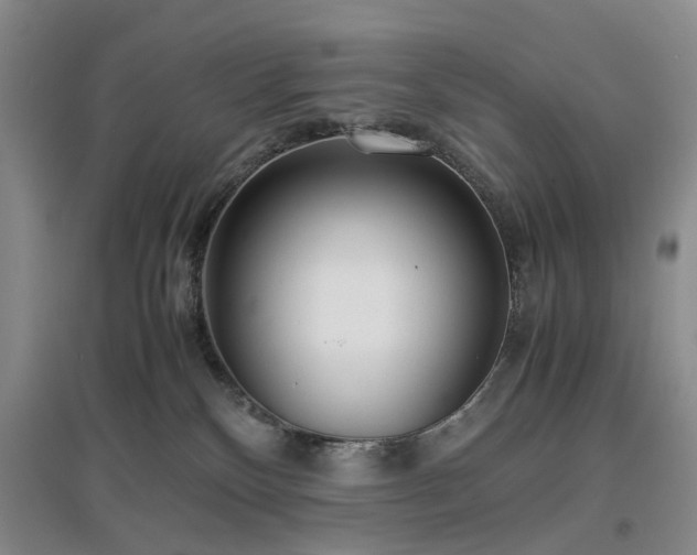 X0000096980136200802151339