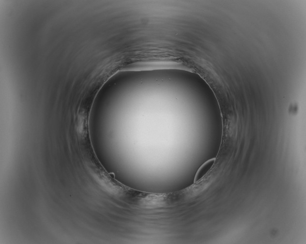 X0000096980138200802151339