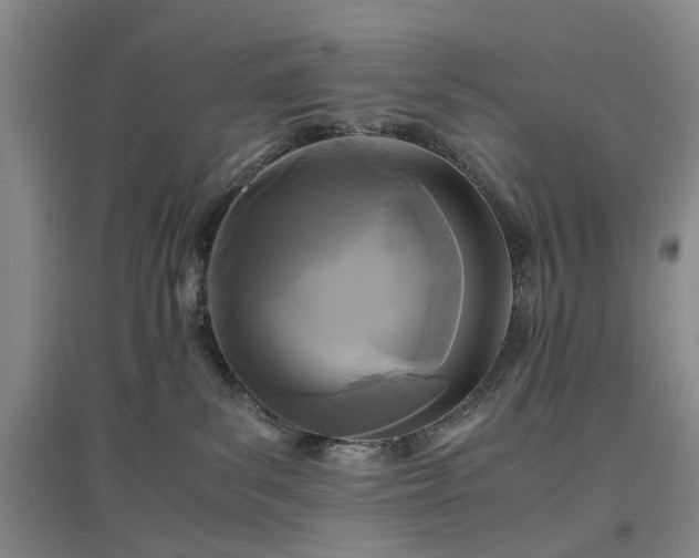 X0000096980139200802151338