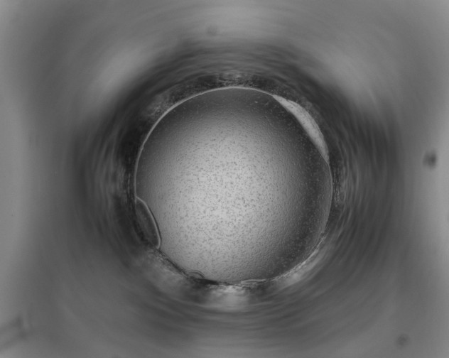 X0000096980140200802151338