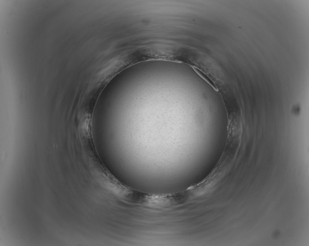 X0000096980141200802151338