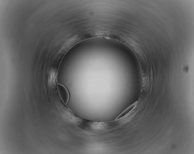 X0000096980142200802151338