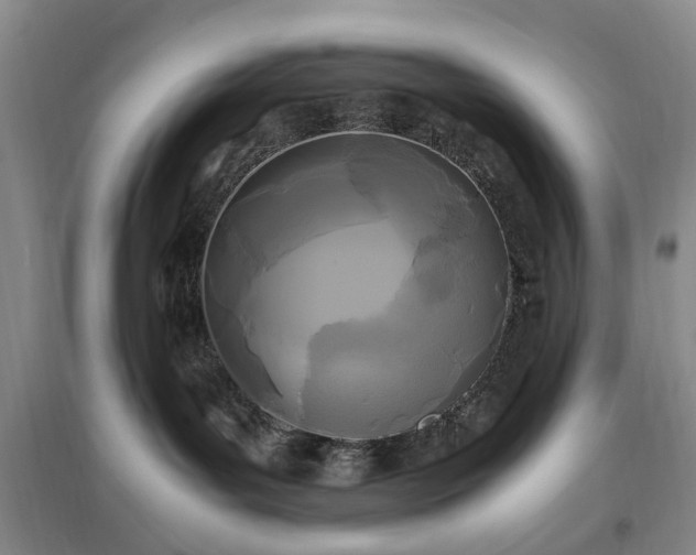 X0000096980143200802151338