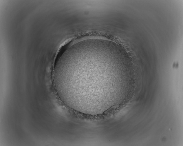 X0000096980144200802151338