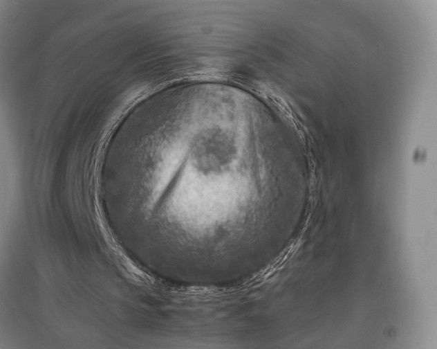 X0000096980145200802151338