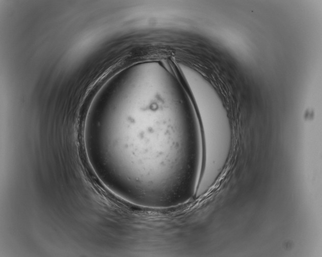 X0000096980146200802151338