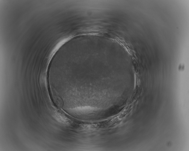 X0000096980147200802151338