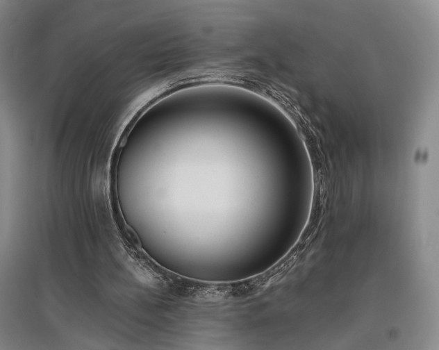 X0000096980148200802151338