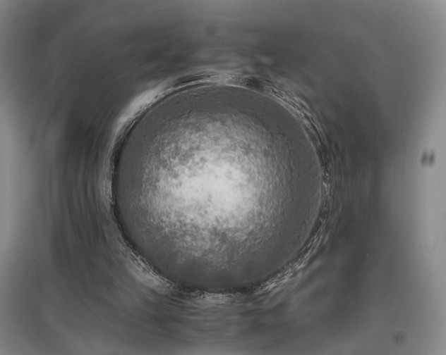 X0000096980149200802151338